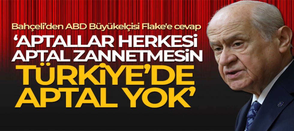 MHP Genel Başkanı Bahçeli, ABD Büyükelçisi Flake'e cevap